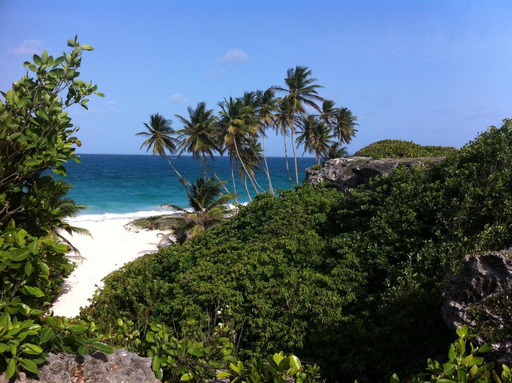 بريدج تاون Beach Guest House Cleverdale المظهر الخارجي الصورة