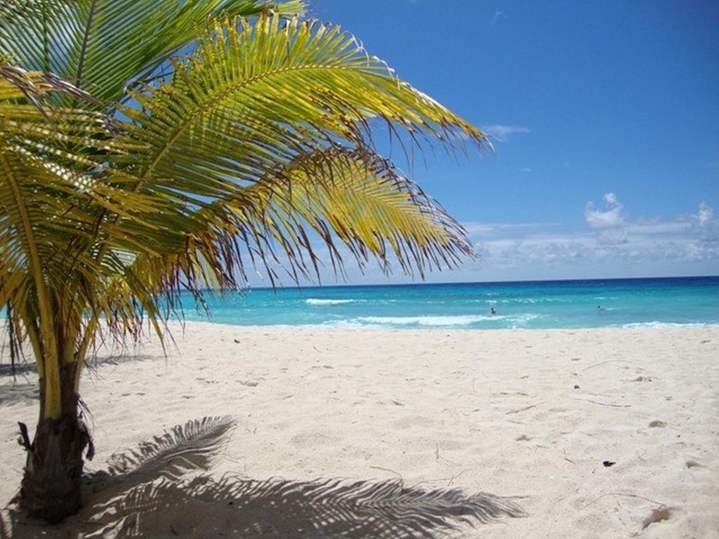 بريدج تاون Beach Guest House Cleverdale الغرفة الصورة